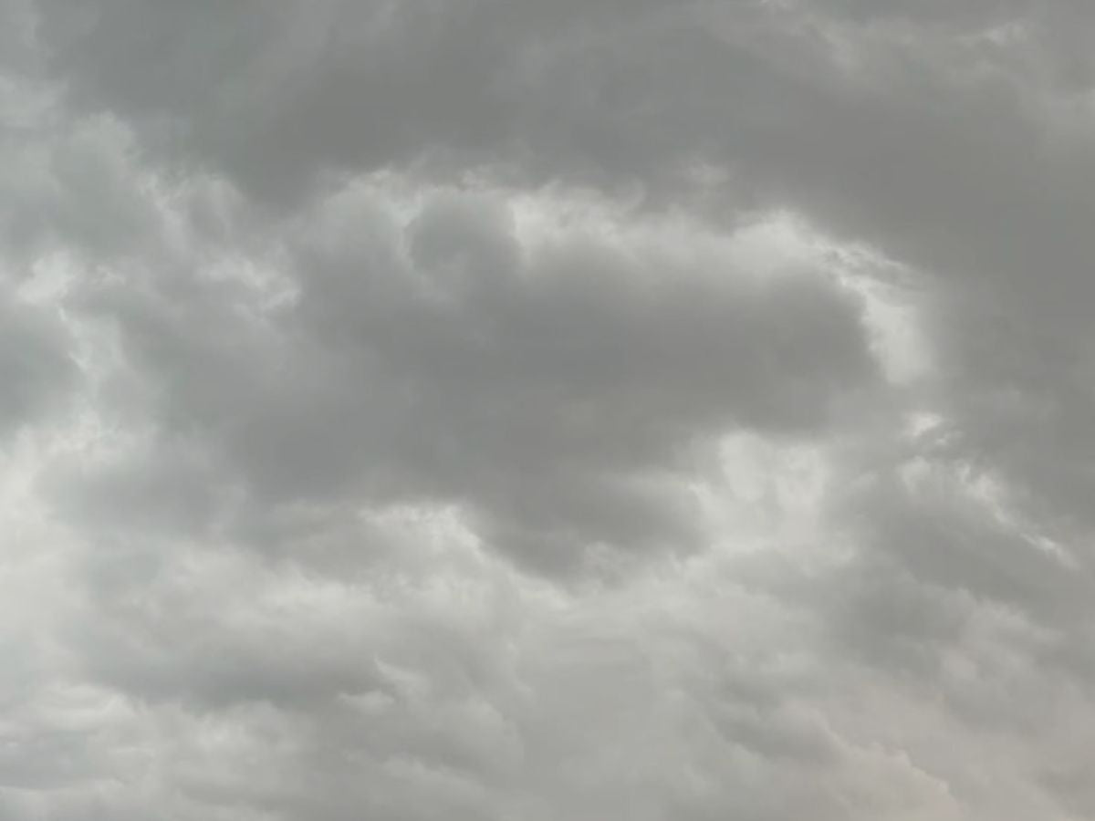 Gris